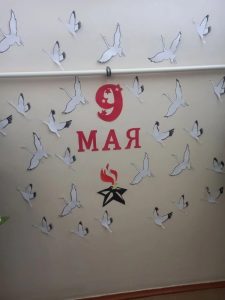 -D0S-naB