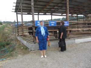 IMG_1400 (Large)