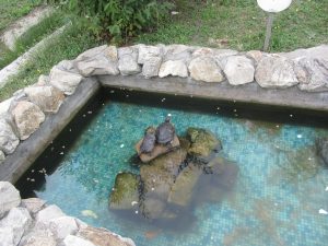 IMG_1405 (Large)