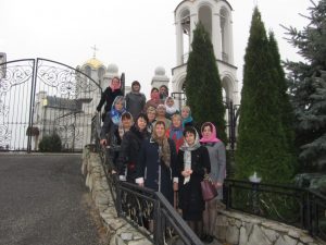 IMG_2587 (Medium)