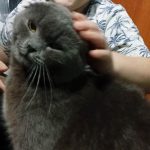 Юнусов_Рамир_с_котом_Васькой