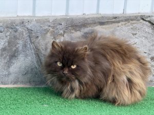 image-14-01-26-01-21-3