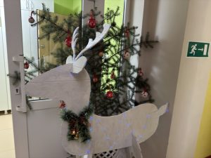 image-14-01-26-01-21-6