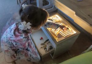 песочница